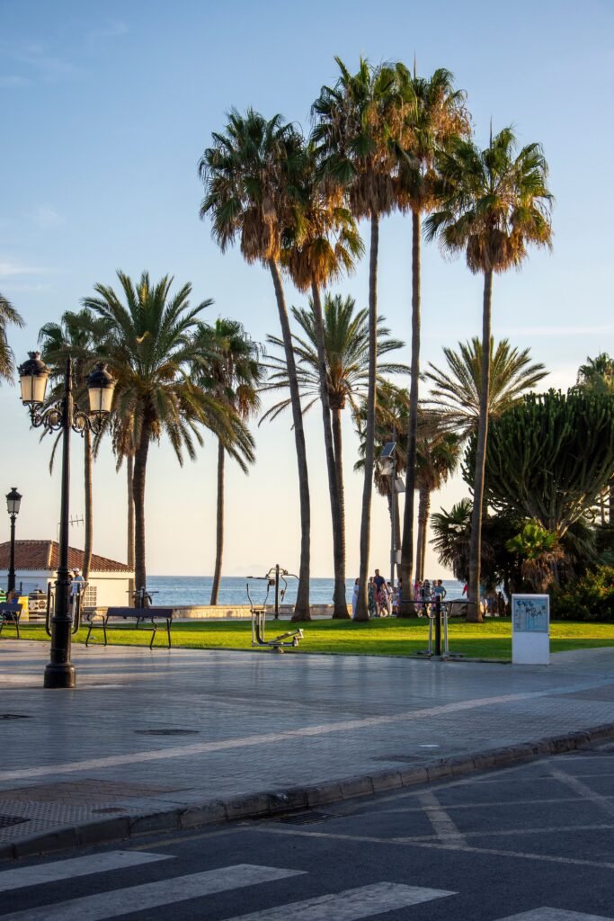 Paseo marítimo de Marbella con palmeras, Costa del Sol